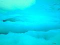 image 90 rotated